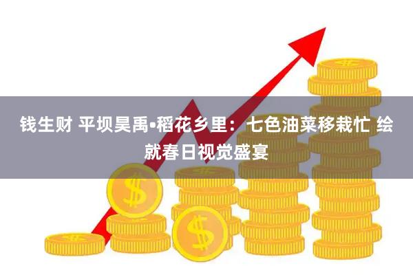 钱生财 平坝昊禹•稻花乡里：七色油菜移栽忙 绘就春日视觉盛宴