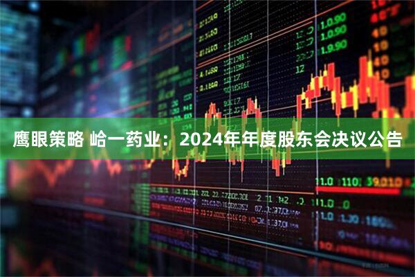 鹰眼策略 峆一药业：2024年年度股东会决议公告